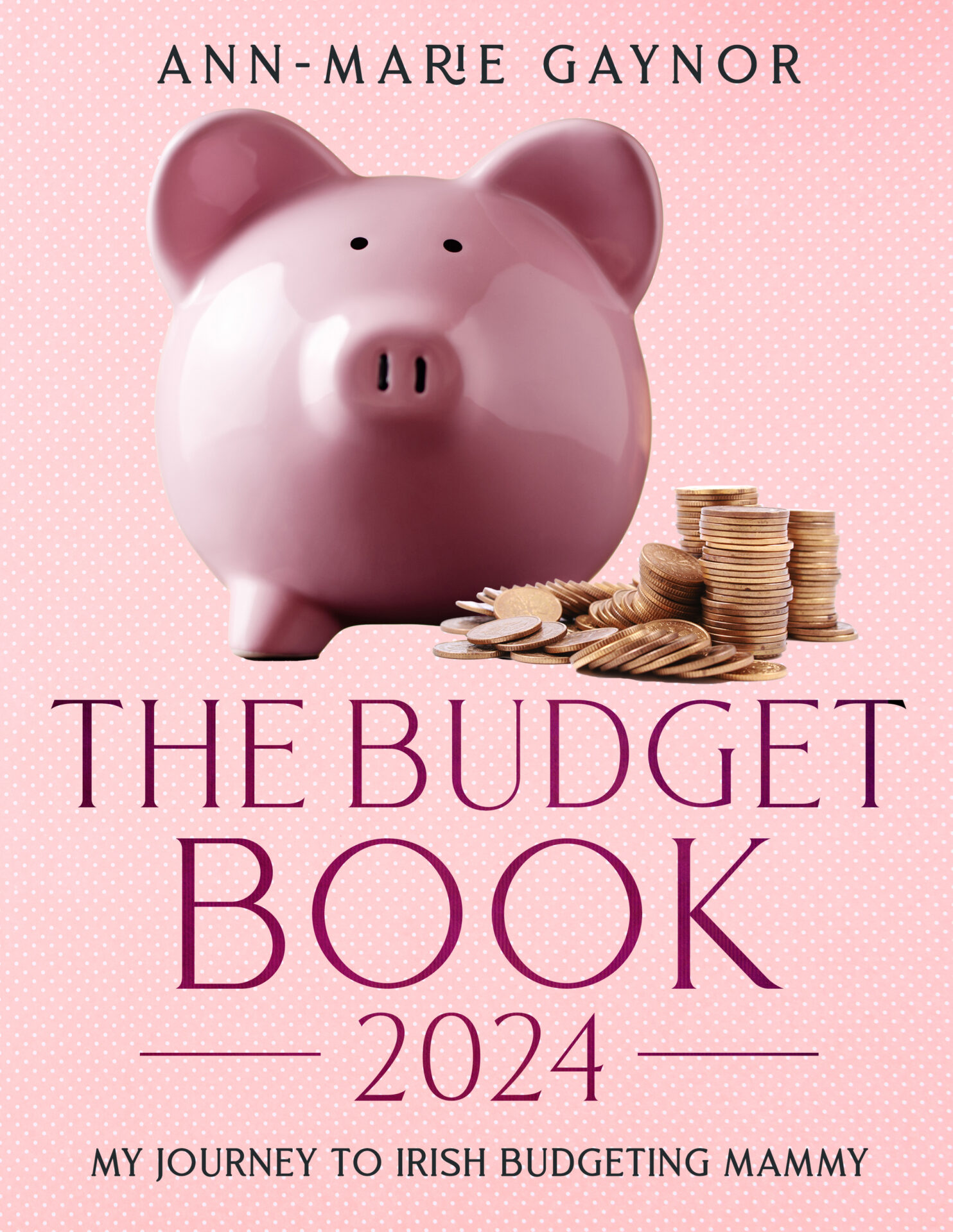 The Budget Book 2024 Irish Budgeting Mammy   Amlady Ebook 